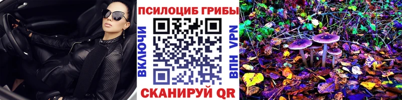 Галлюциногенные грибы GOLDEN TEACHER  Купино 
